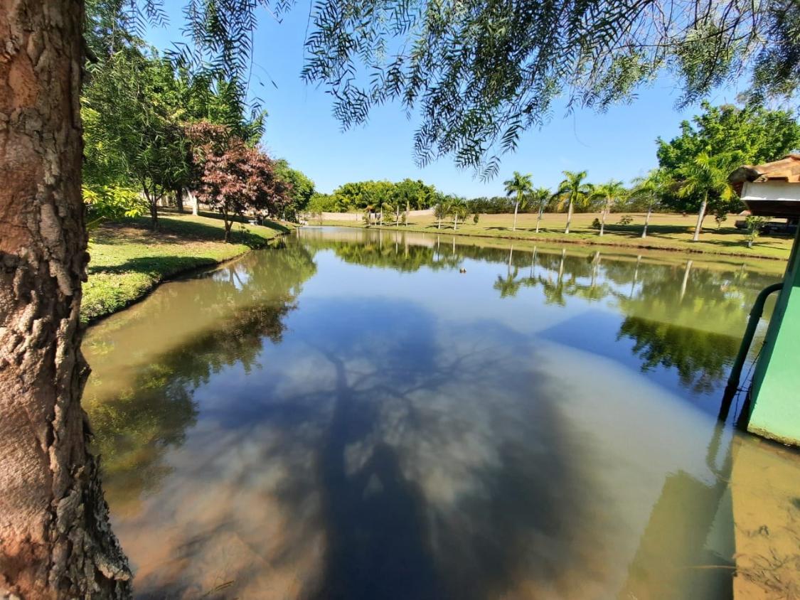 Fazenda à venda com 4 quartos, 24200m² - Foto 9