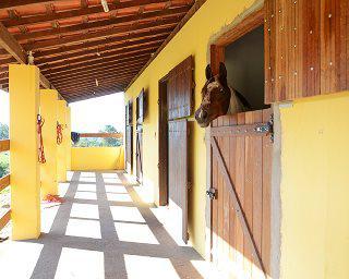 Fazenda à venda e aluguel com 6 quartos, 36300m² - Foto 2