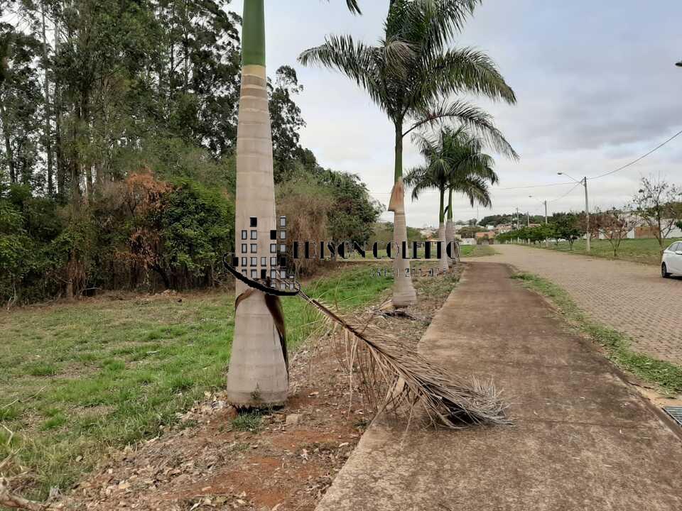 Terreno à venda - Foto 2