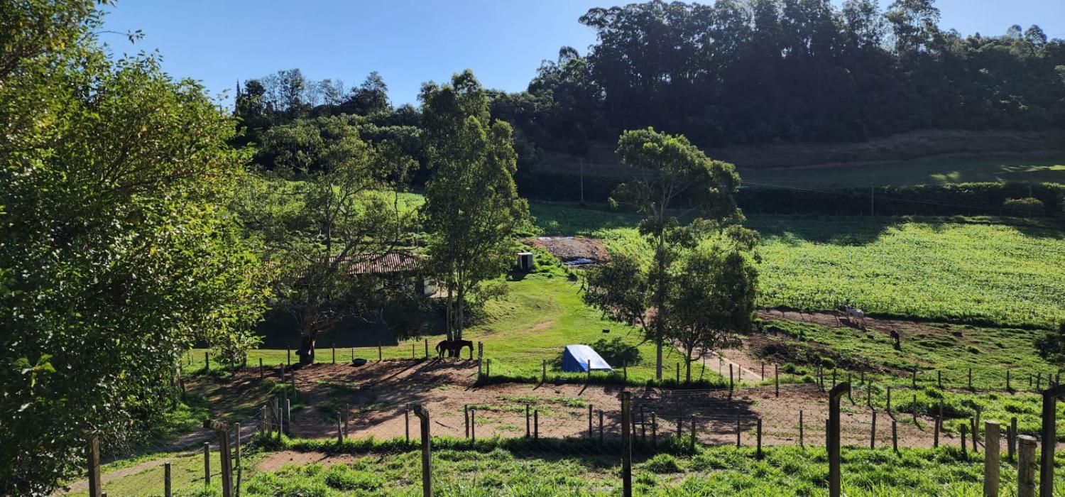 Fazenda à venda com 5 quartos, 78000m² - Foto 2