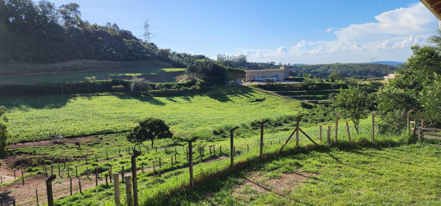 Fazenda à venda com 5 quartos, 78000m² - Foto 4