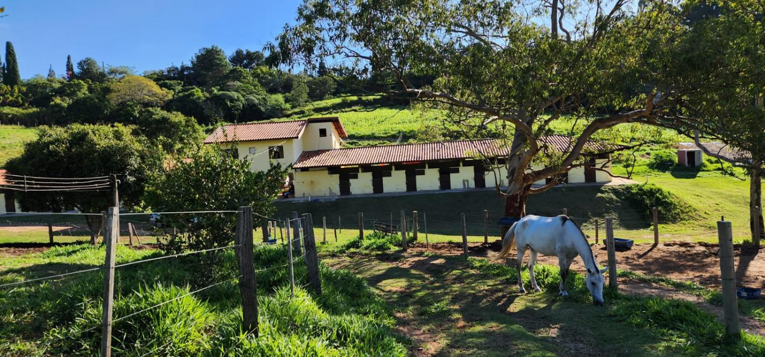 Fazenda à venda com 5 quartos, 78000m² - Foto 5