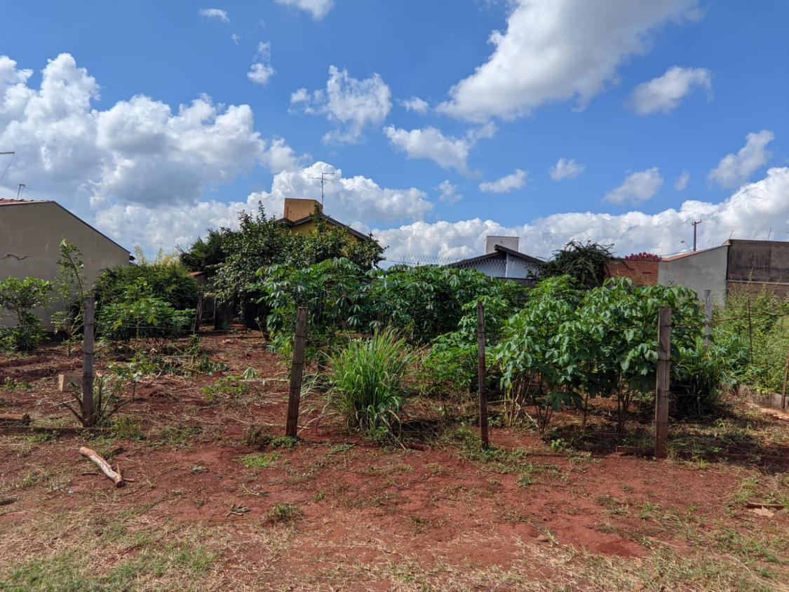 Terreno à venda - Foto 1