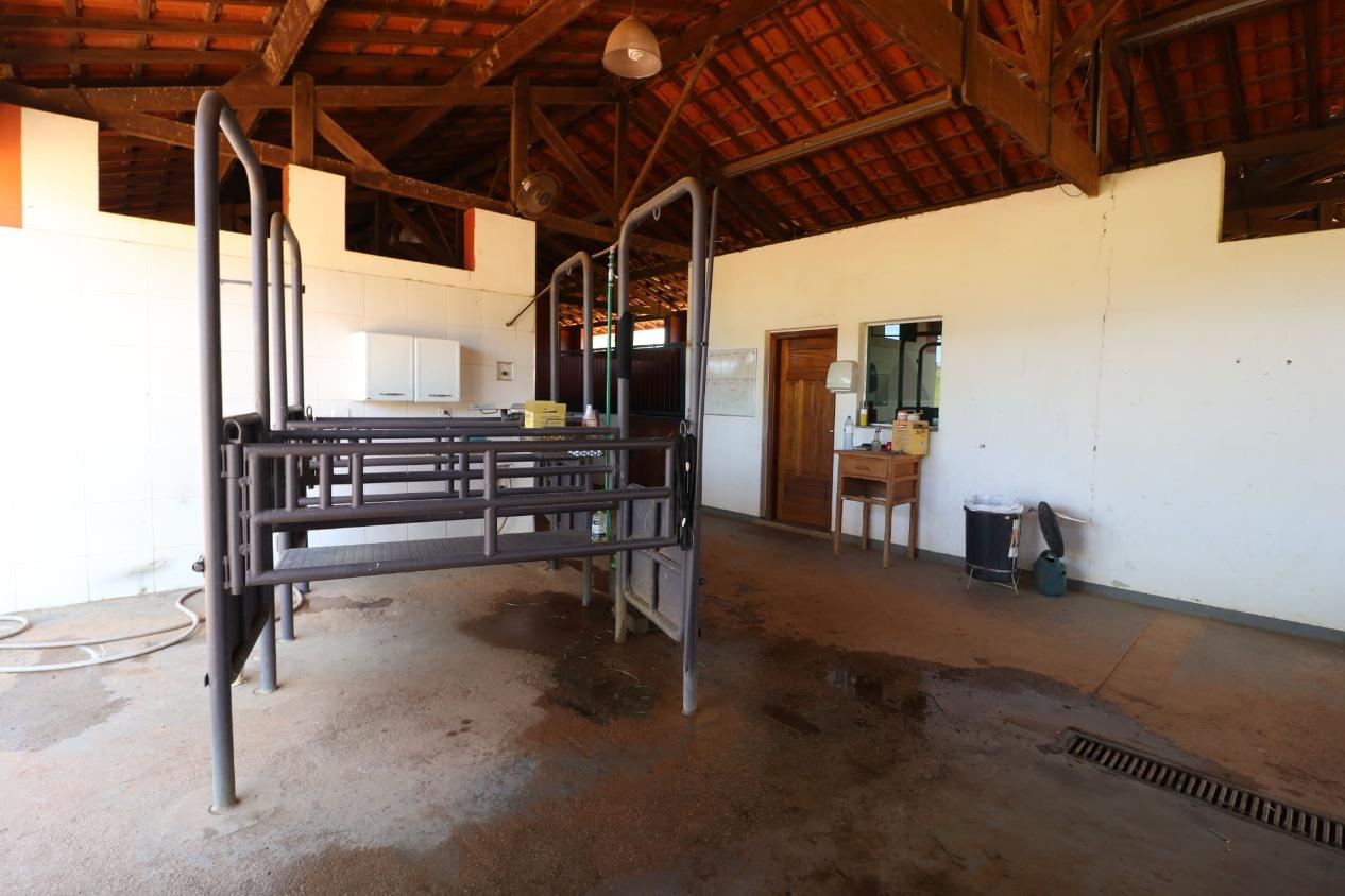 Fazenda à venda com 3 quartos, 532400m² - Foto 13