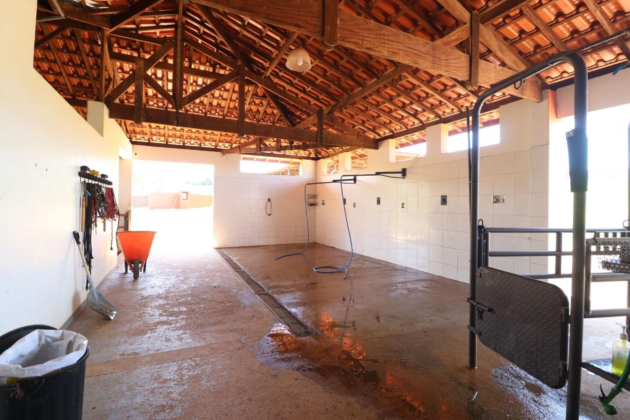 Fazenda à venda com 3 quartos, 532400m² - Foto 10