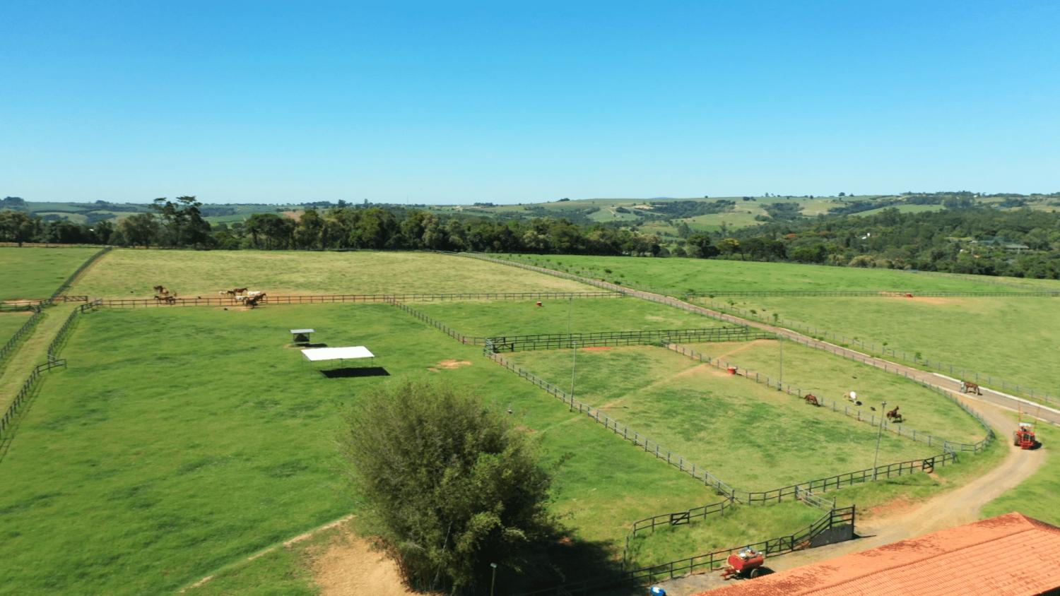 Fazenda à venda com 3 quartos, 532400m² - Foto 5