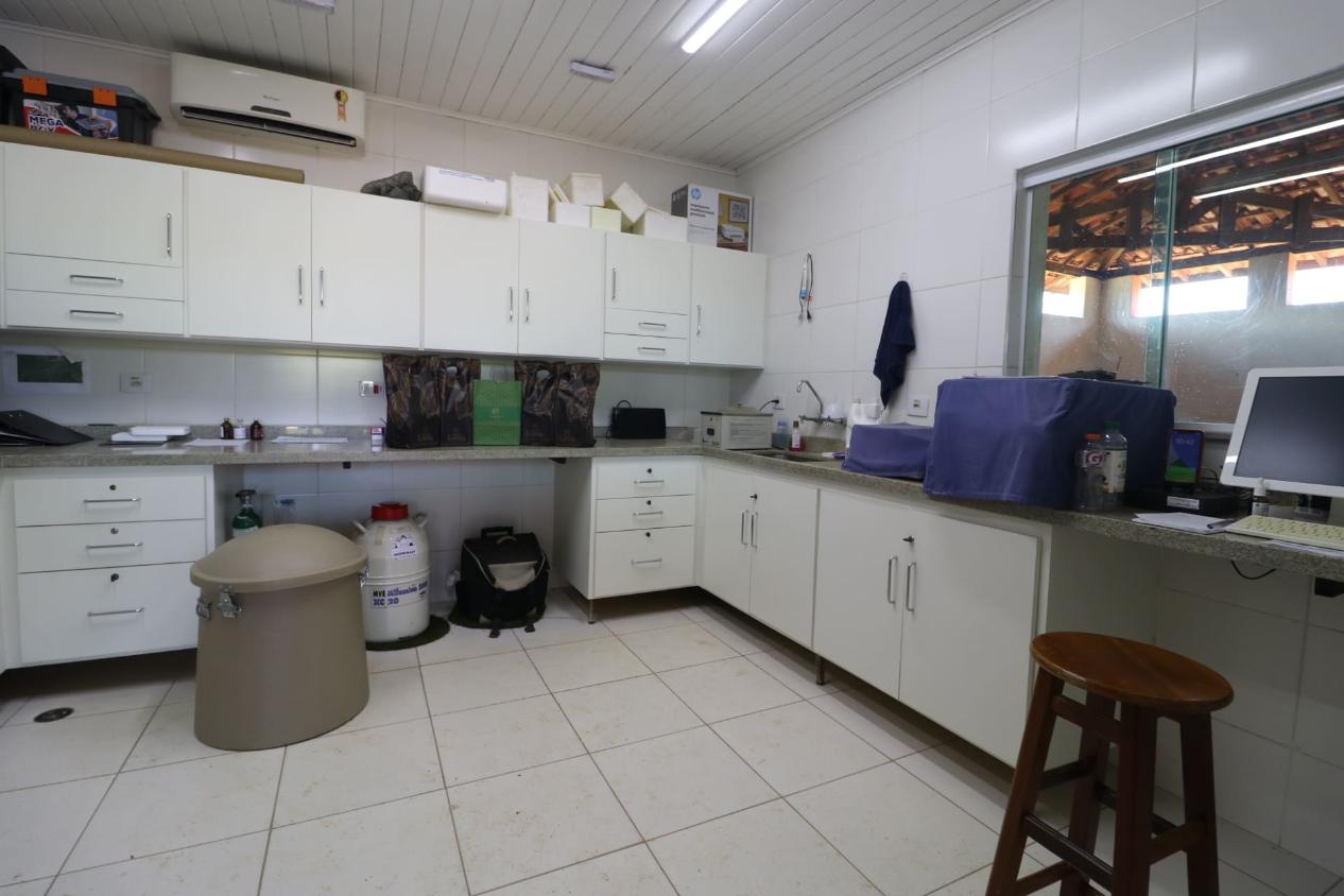 Fazenda à venda com 3 quartos, 532400m² - Foto 22