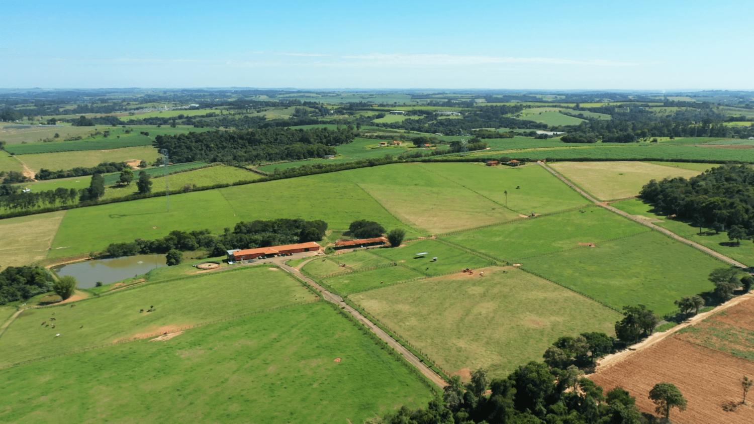 Fazenda à venda com 3 quartos, 532400m² - Foto 7