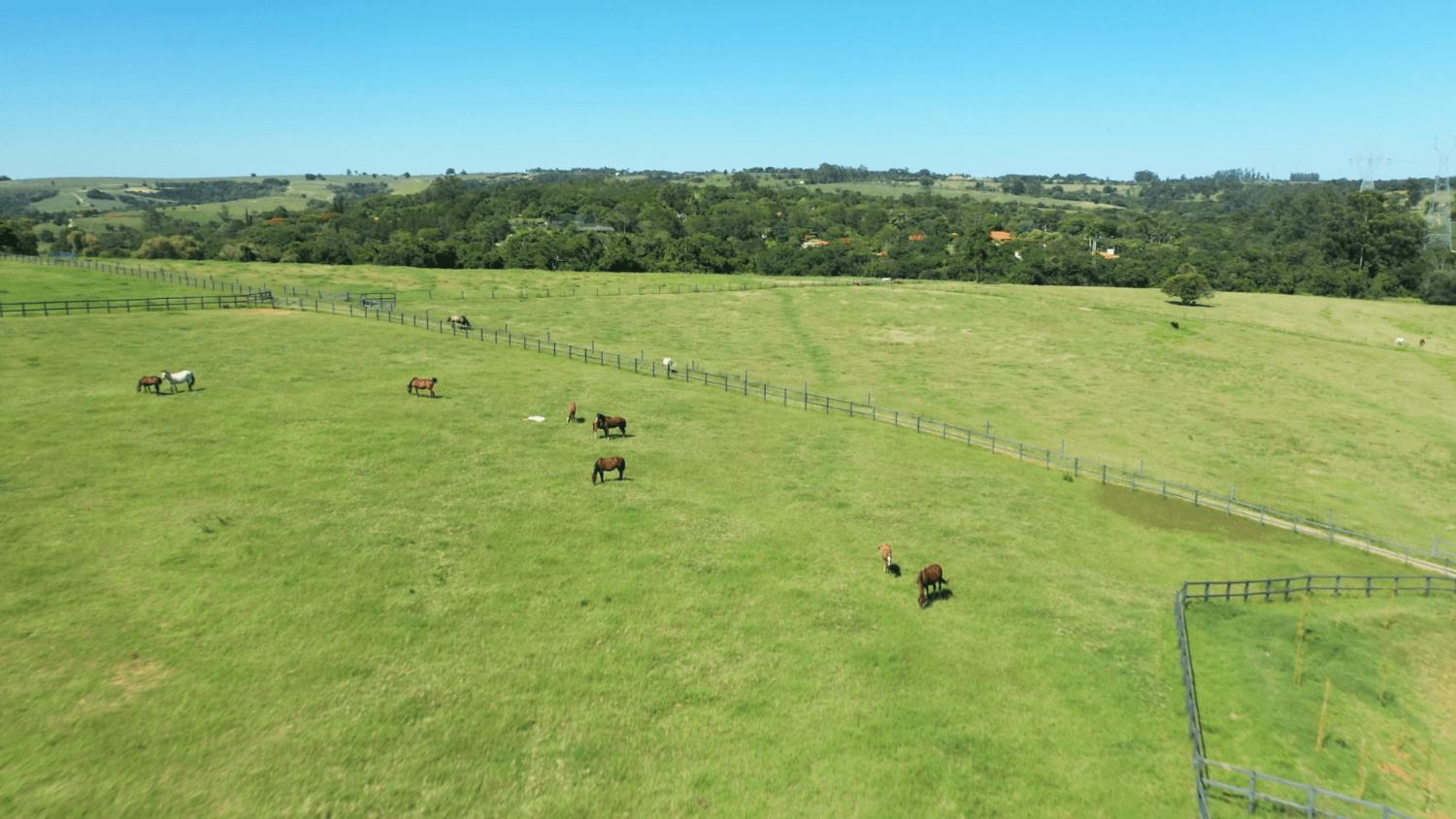 Fazenda à venda com 3 quartos, 532400m² - Foto 21