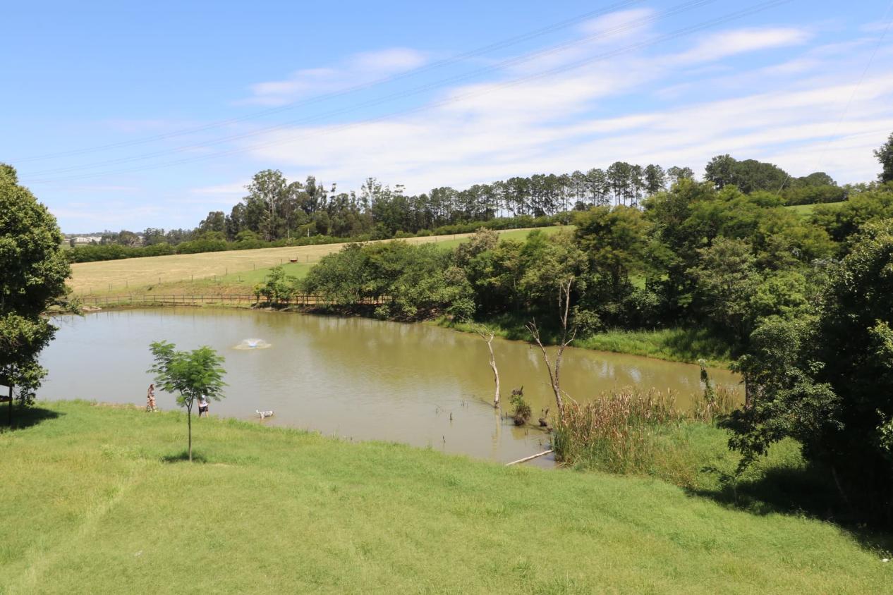 Fazenda à venda com 3 quartos, 532400m² - Foto 6