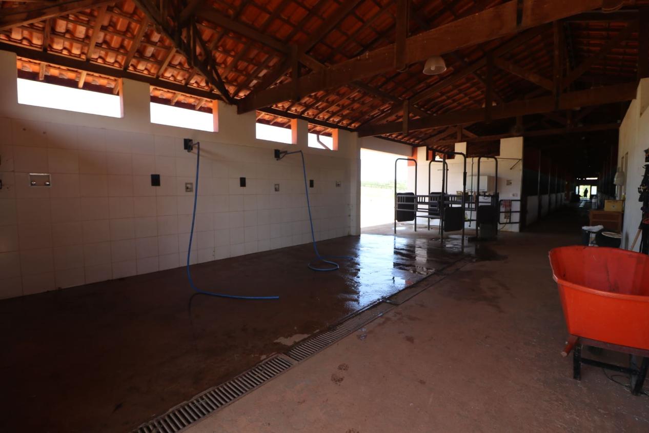 Fazenda à venda com 3 quartos, 532400m² - Foto 15