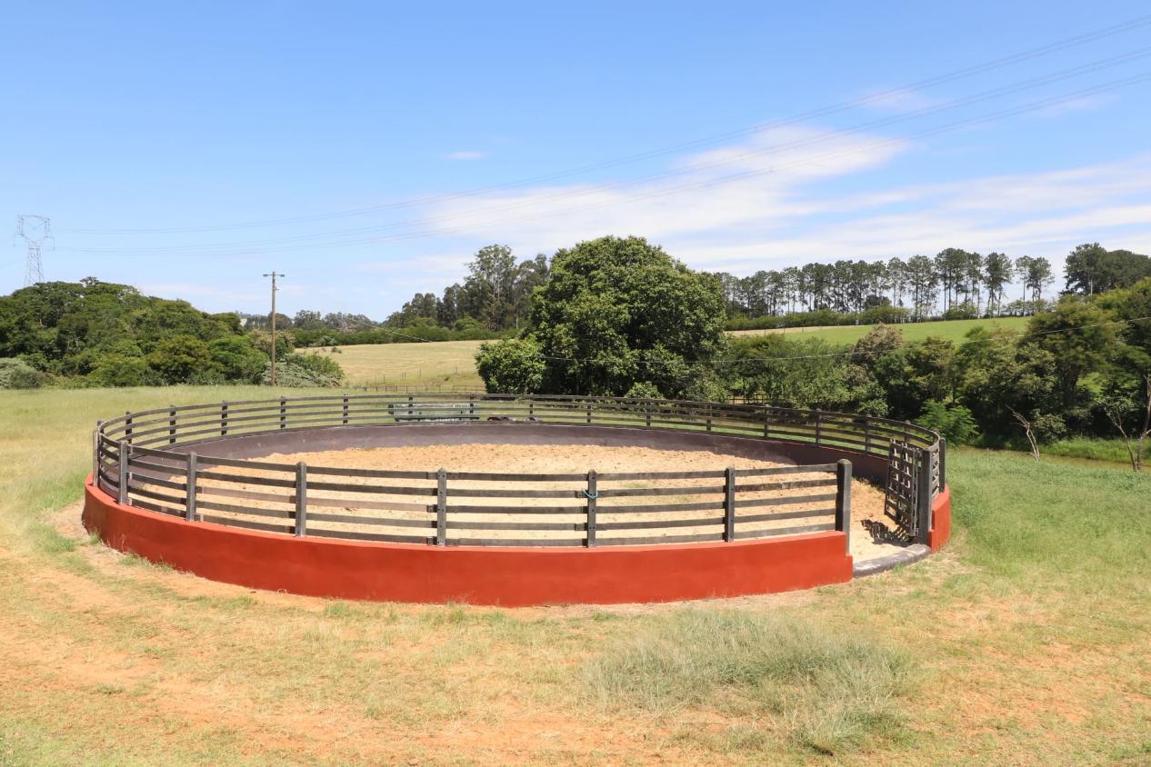 Fazenda à venda com 3 quartos, 532400m² - Foto 24