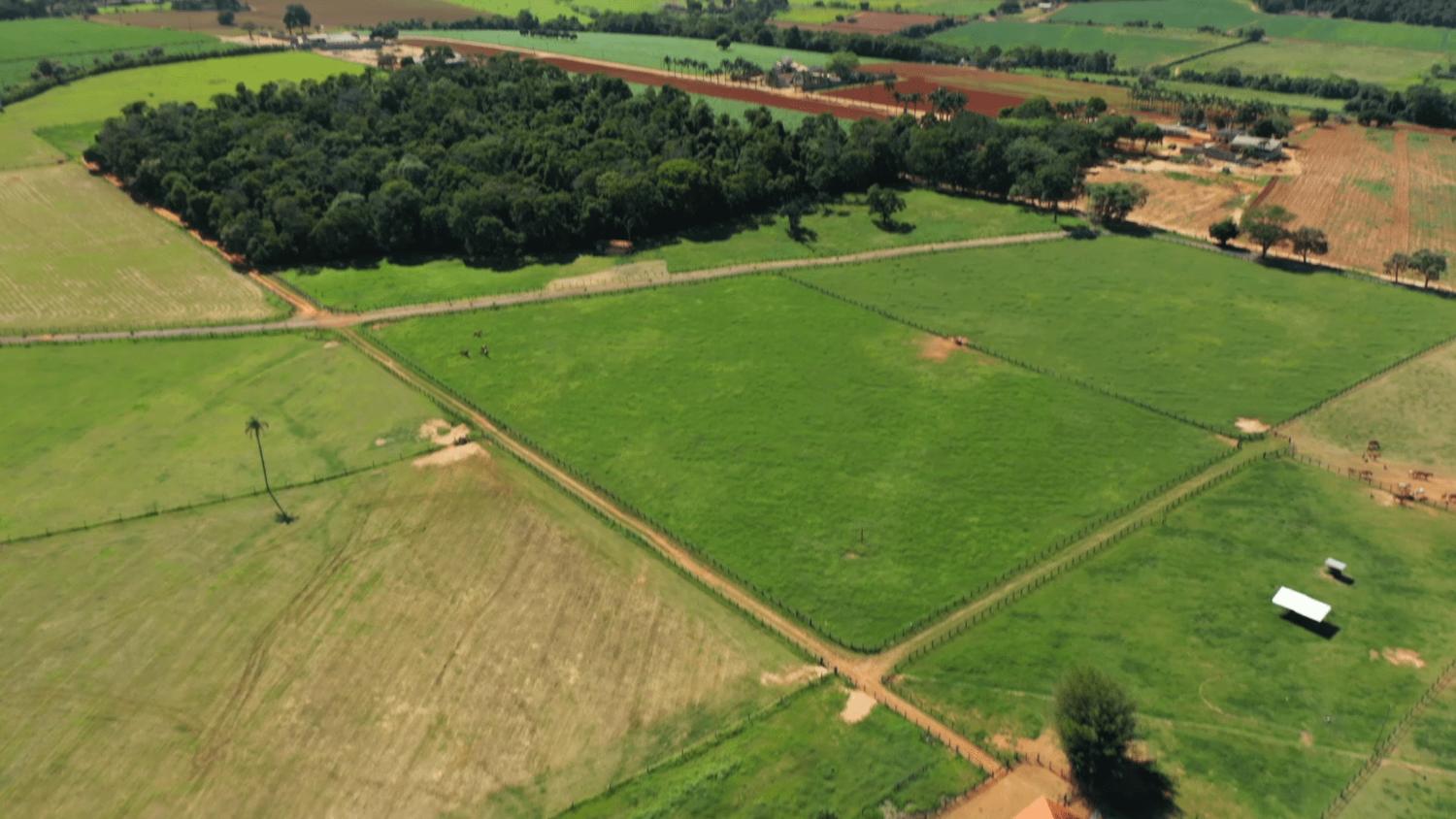 Fazenda à venda com 3 quartos, 532400m² - Foto 26