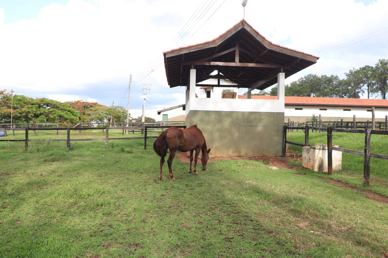 Fazenda à venda com 3 quartos, 798600m² - Foto 11