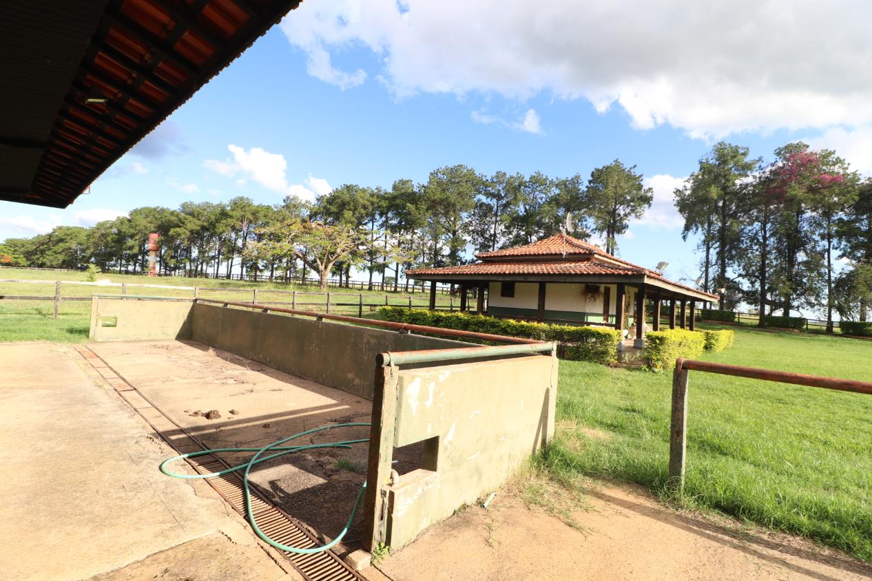 Fazenda à venda com 3 quartos, 798600m² - Foto 6