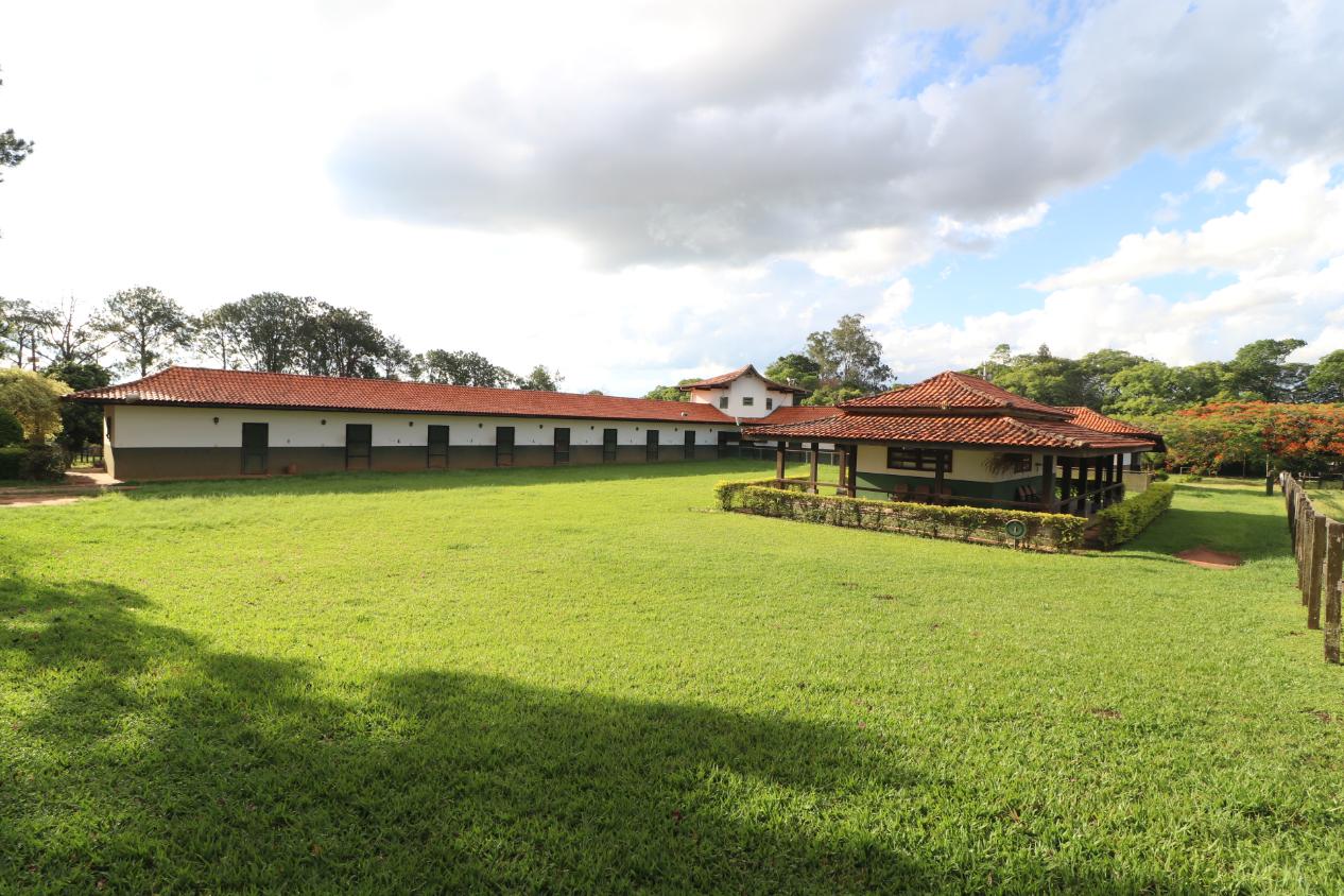 Fazenda à venda com 3 quartos, 798600m² - Foto 3