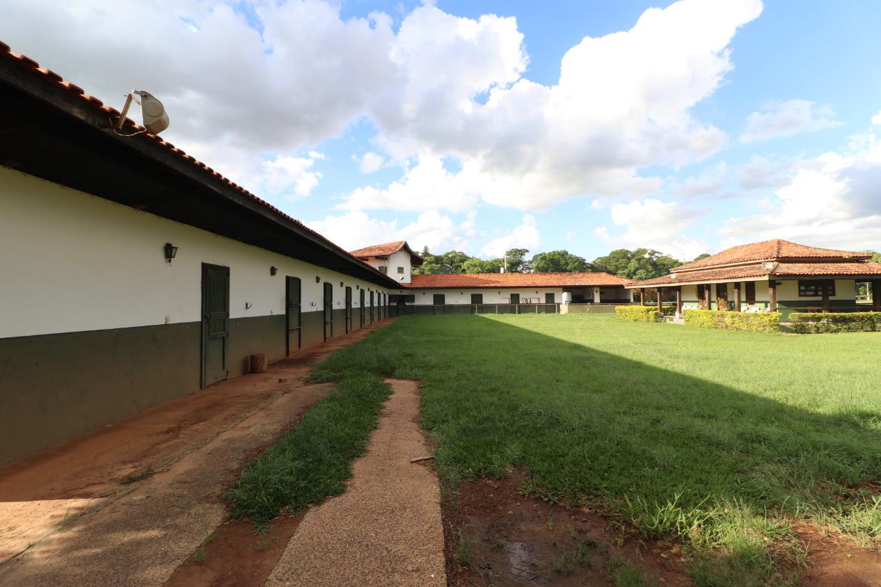 Fazenda à venda com 3 quartos, 798600m² - Foto 4