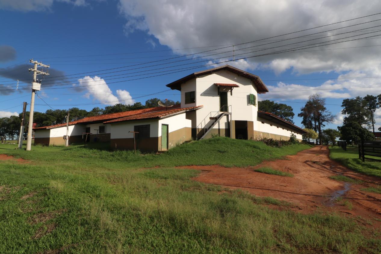 Fazenda à venda com 3 quartos, 798600m² - Foto 7