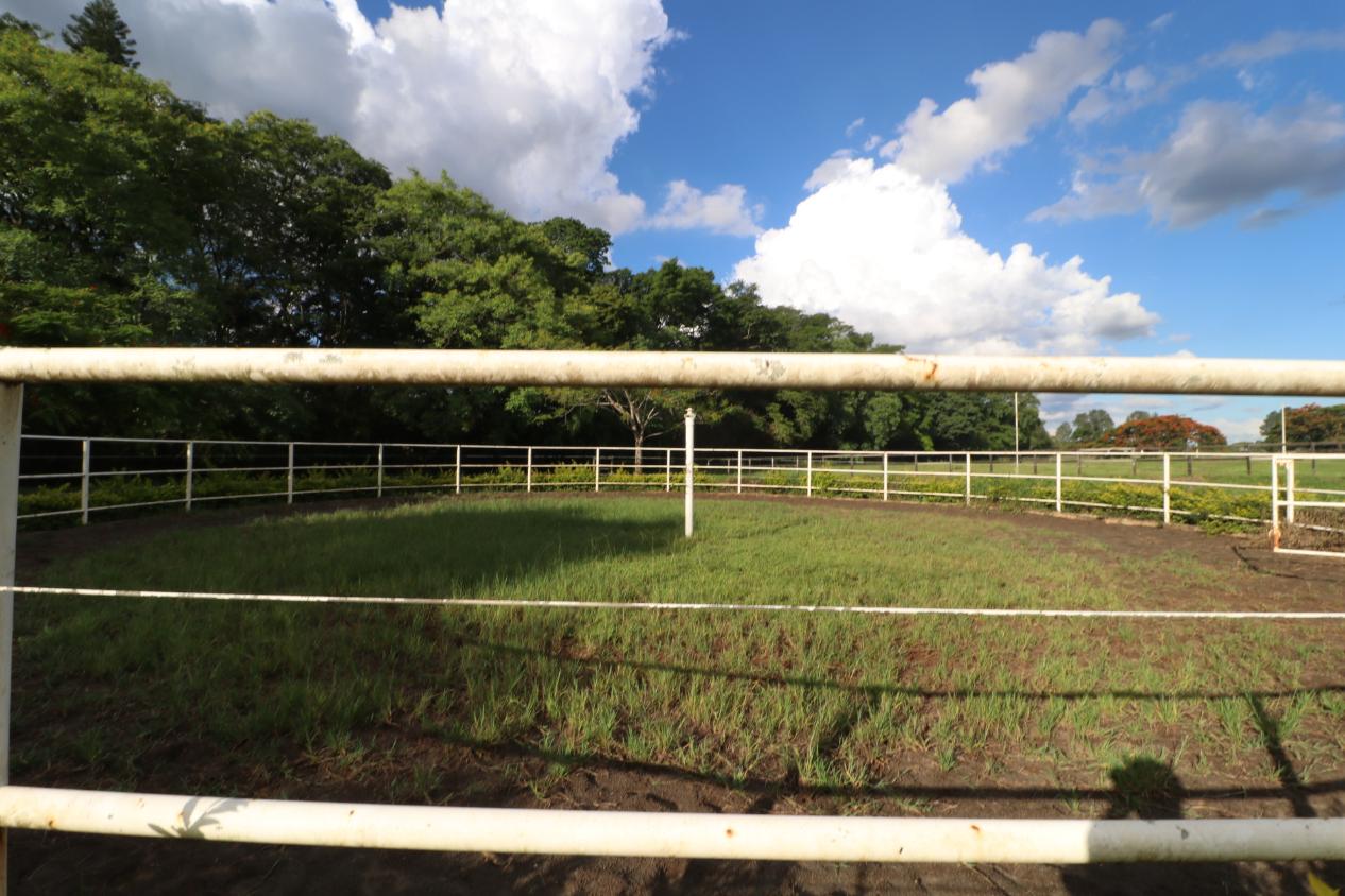 Fazenda à venda com 3 quartos, 798600m² - Foto 5