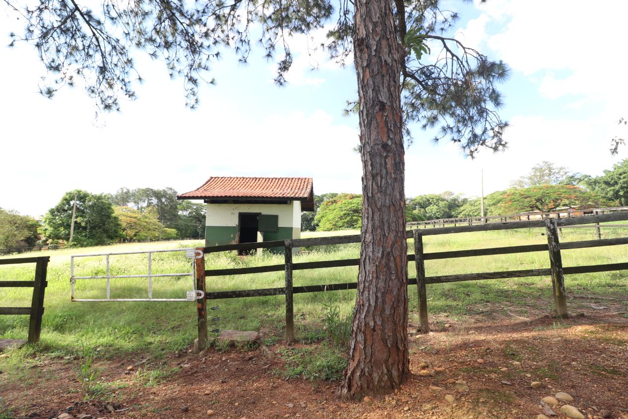 Fazenda à venda com 3 quartos, 798600m² - Foto 14