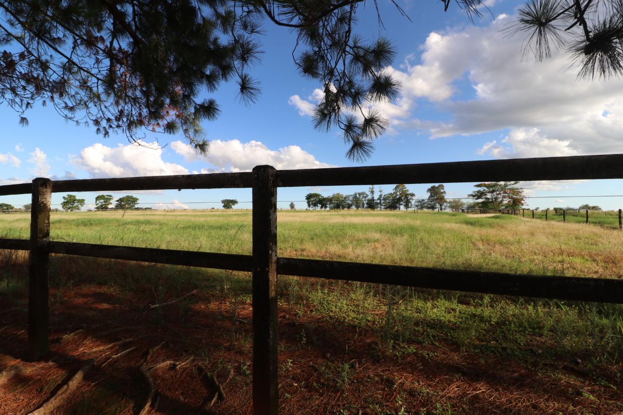 Fazenda à venda com 3 quartos, 798600m² - Foto 17