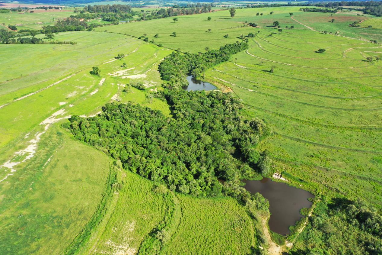 Fazenda à venda com 3 quartos, 798600m² - Foto 18