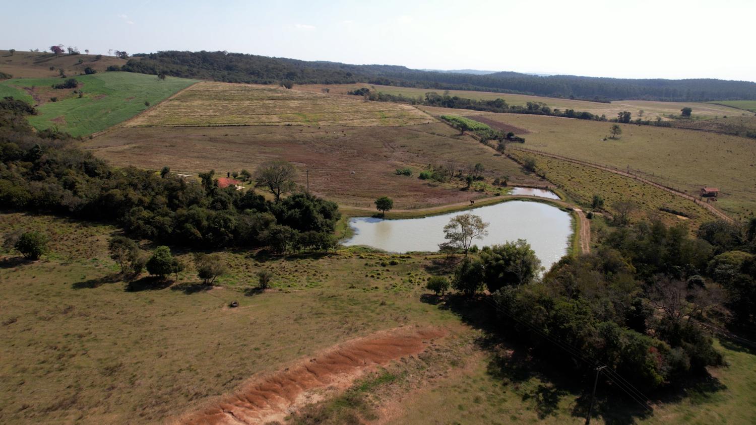 Fazenda à venda com 3 quartos, 484000m² - Foto 3