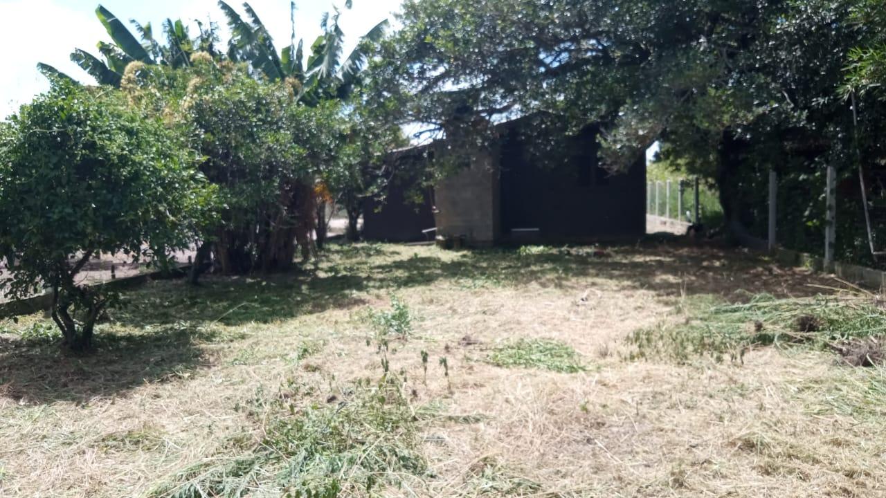 Fazenda à venda com 2 quartos - Foto 6