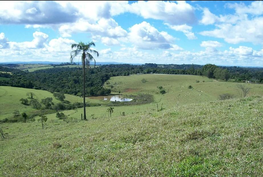 Fazenda à venda, 250000m² - Foto 2