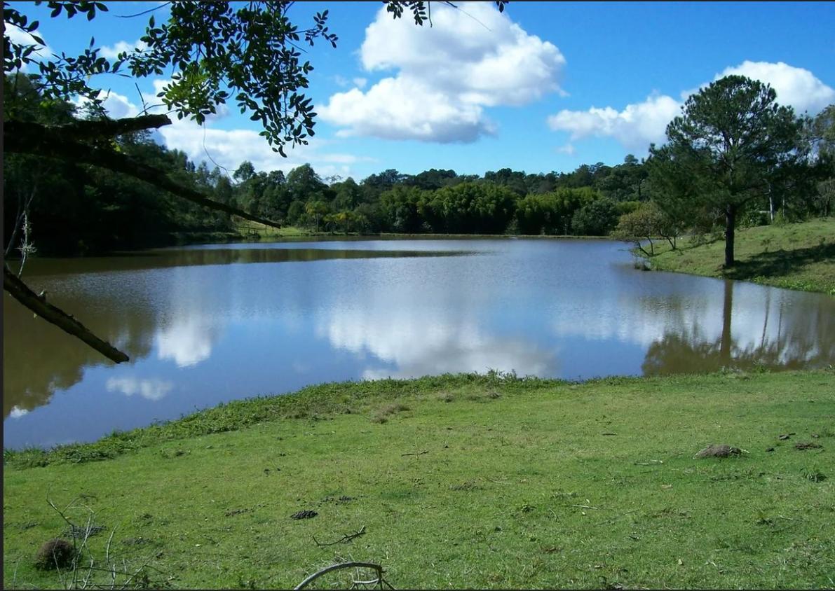 Fazenda à venda, 250000m² - Foto 4