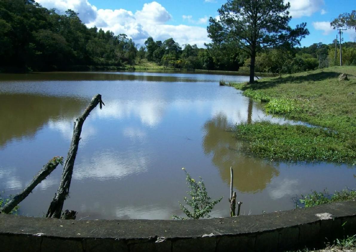 Fazenda à venda, 250000m² - Foto 5