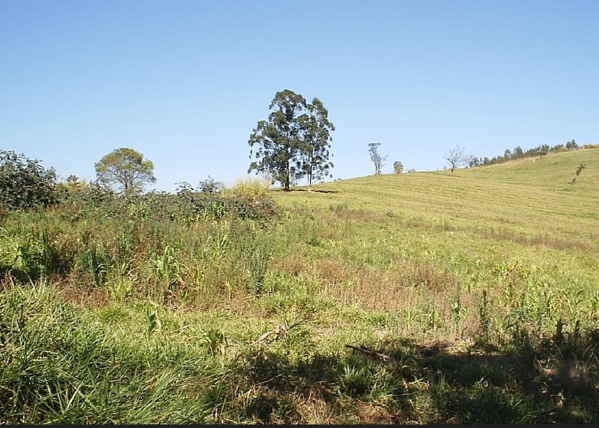 Fazenda à venda, 250000m² - Foto 7