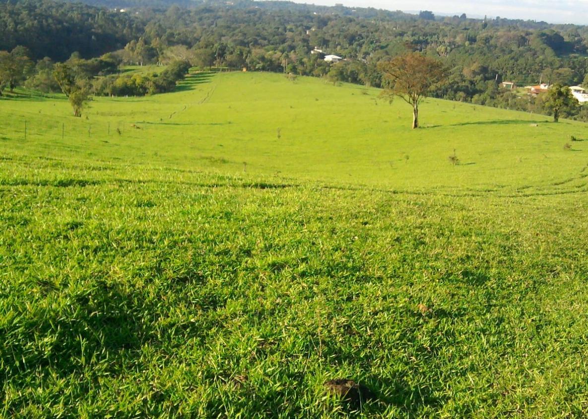 Fazenda à venda, 250000m² - Foto 8