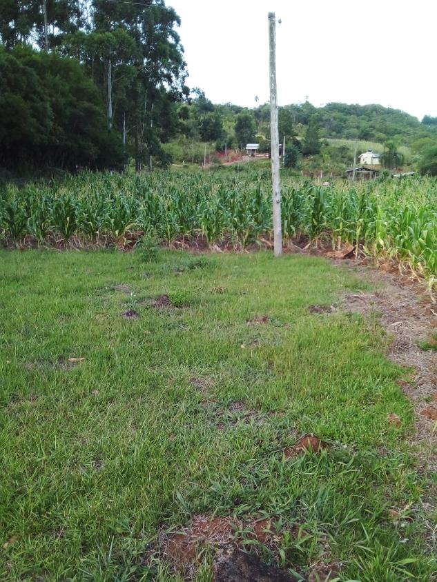 Fazenda à venda - Foto 3