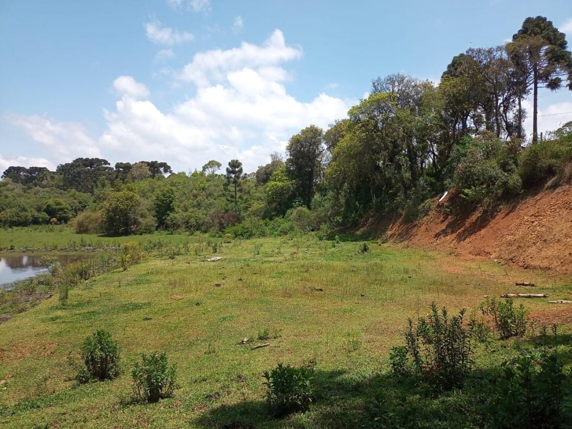 Fazenda à venda - Foto 2