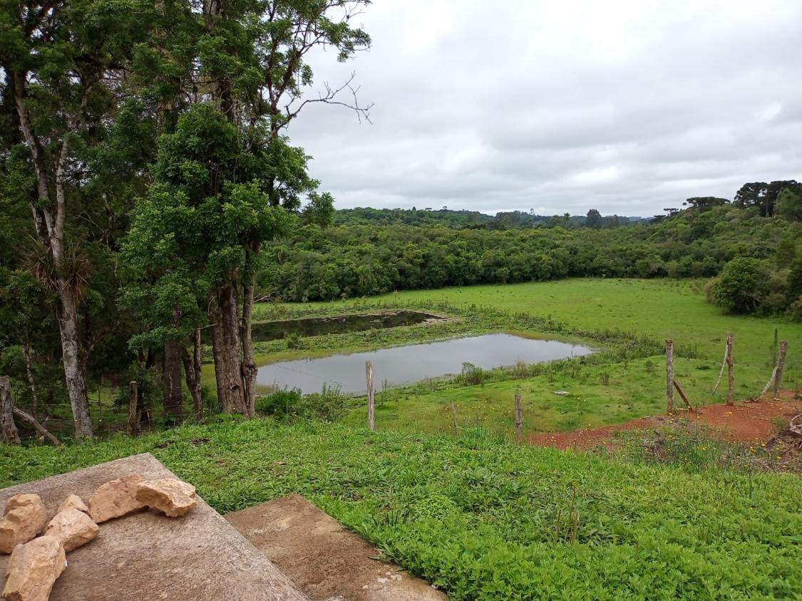 Fazenda à venda com 4 quartos - Foto 5