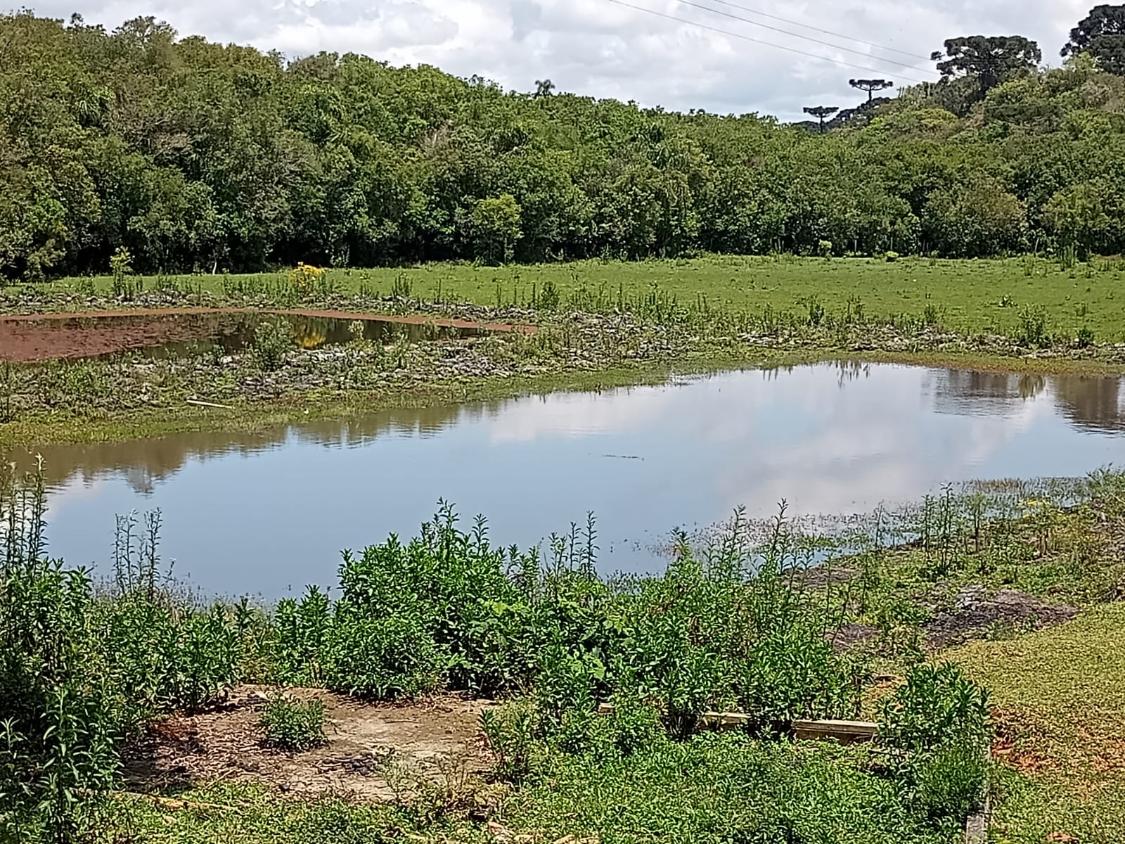 Fazenda à venda com 4 quartos - Foto 6