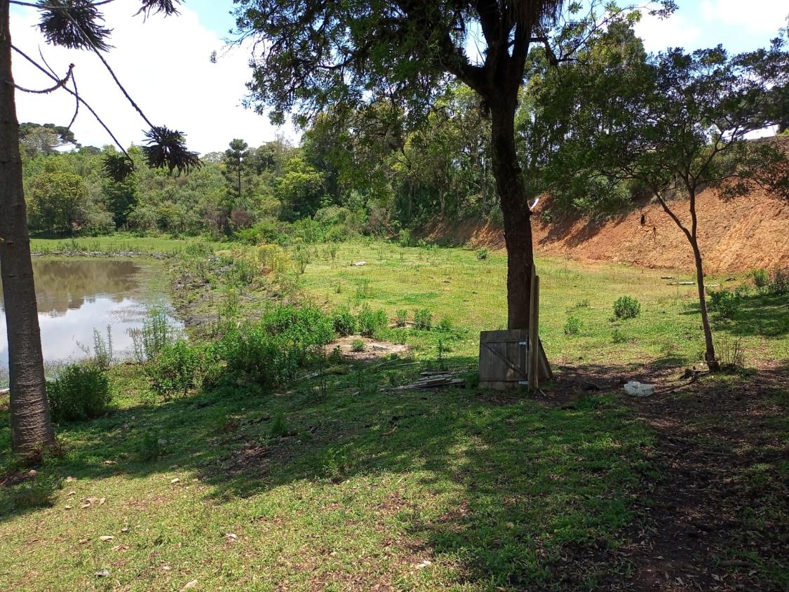 Fazenda à venda com 4 quartos - Foto 11