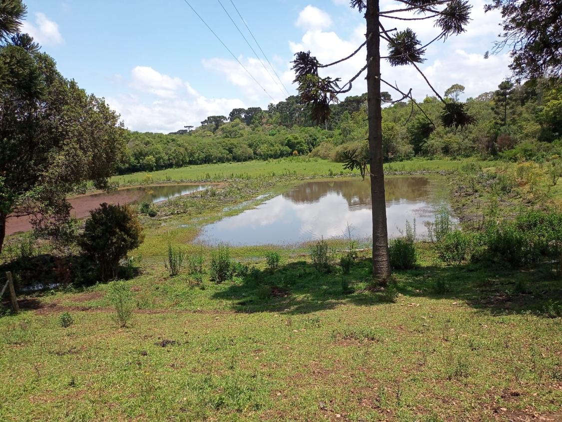 Fazenda à venda com 4 quartos - Foto 12