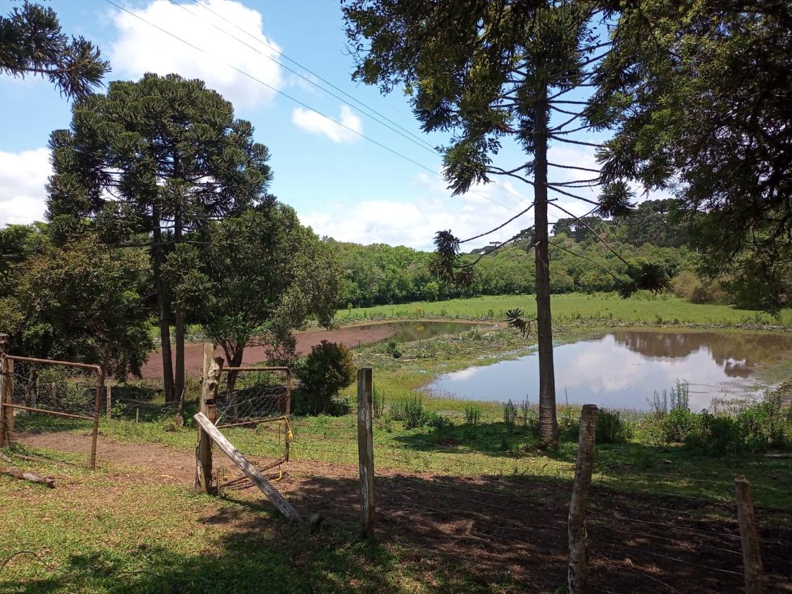 Fazenda à venda com 4 quartos - Foto 14