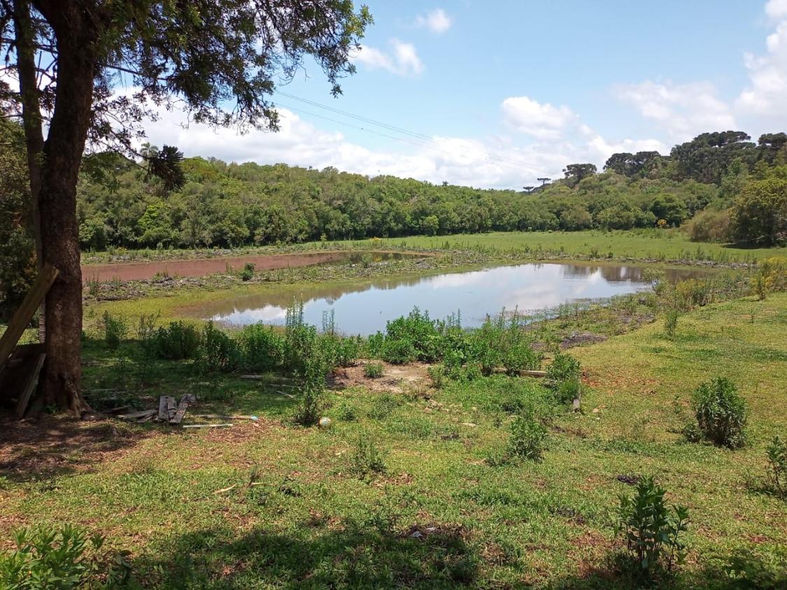 Fazenda à venda com 4 quartos - Foto 16