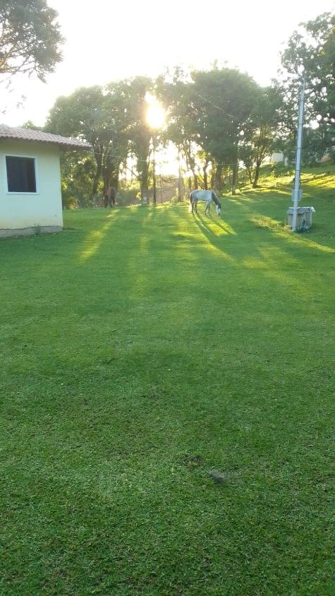 Fazenda à venda com 4 quartos - Foto 21