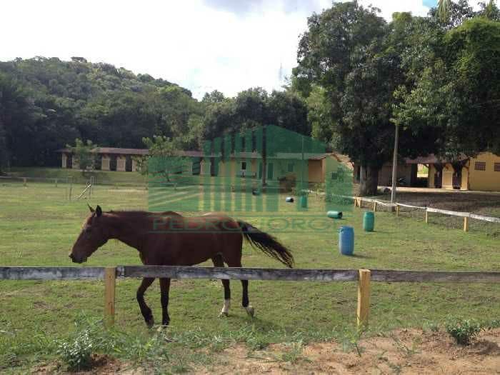 Casa de Condomínio à venda com 3 quartos, 270m² - Foto 13