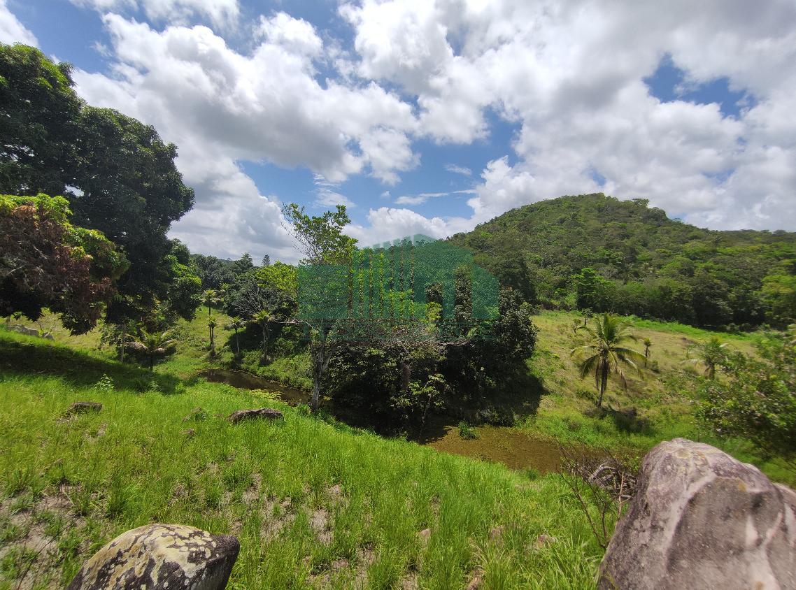 Loteamento e Condomínio à venda, 36600m² - Foto 8