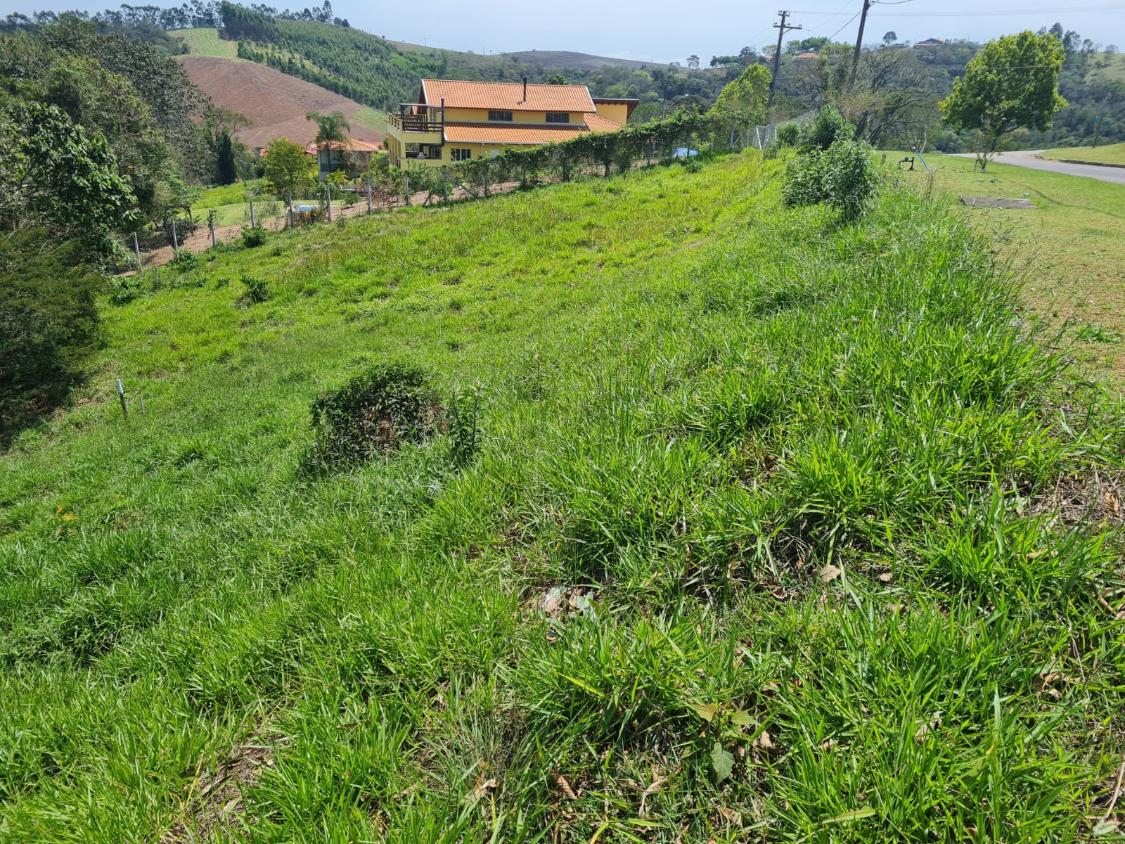 Terreno à venda, 1000m² - Foto 6