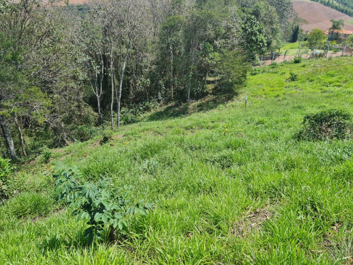 Terreno à venda, 1000m² - Foto 14