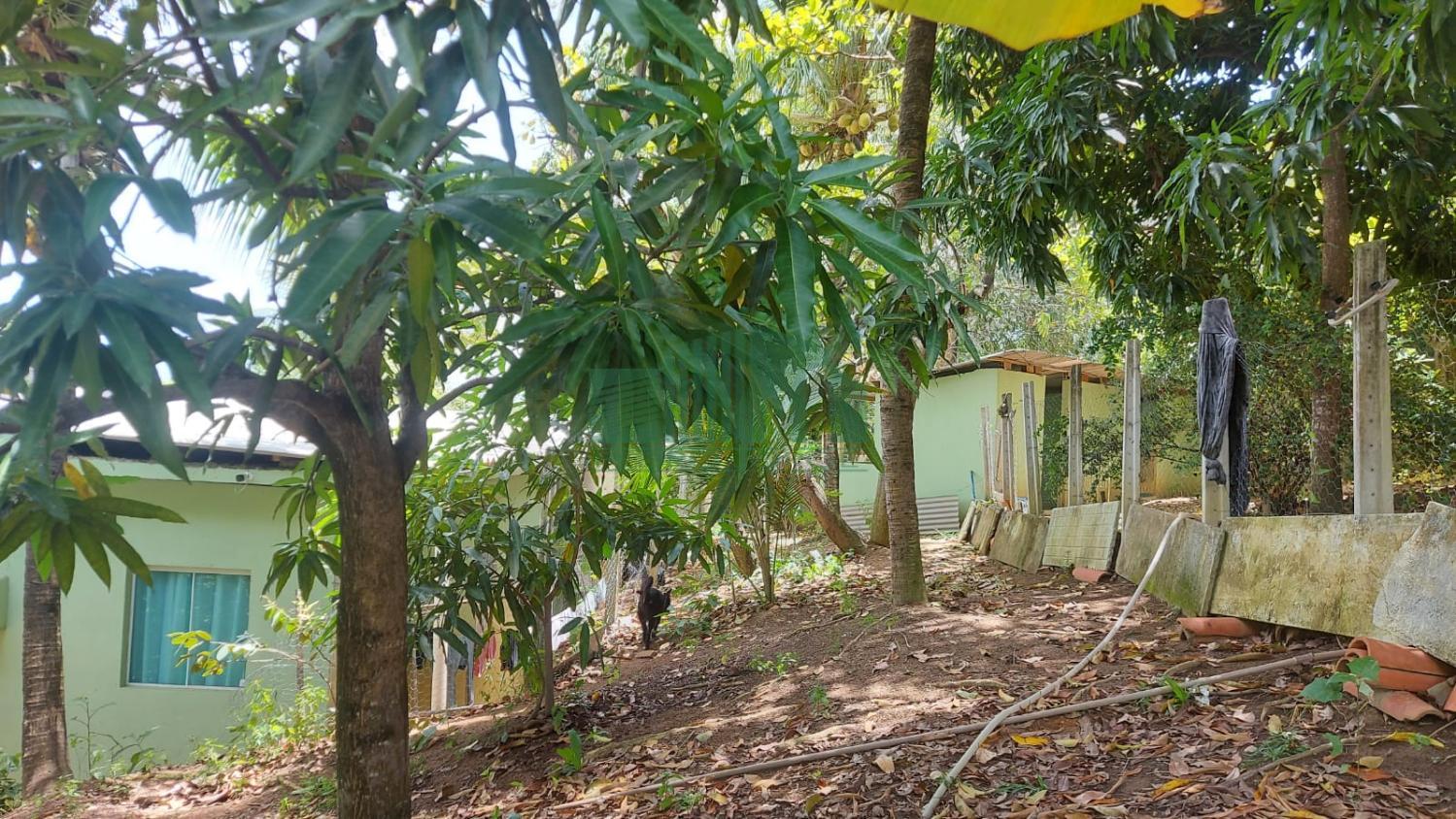 Fazenda à venda com 3 quartos, 4200m² - Foto 8