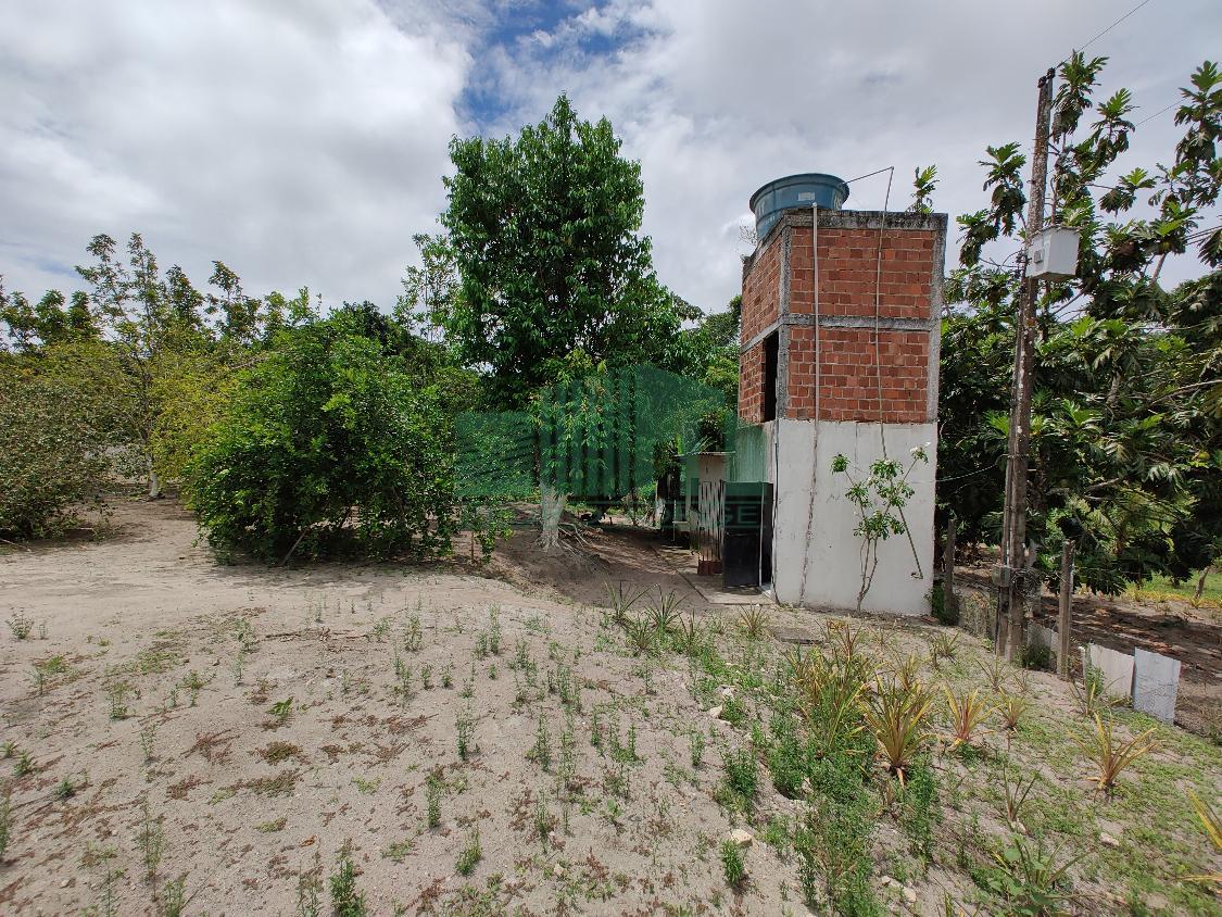 Fazenda à venda com 1 quarto, 4000m² - Foto 13