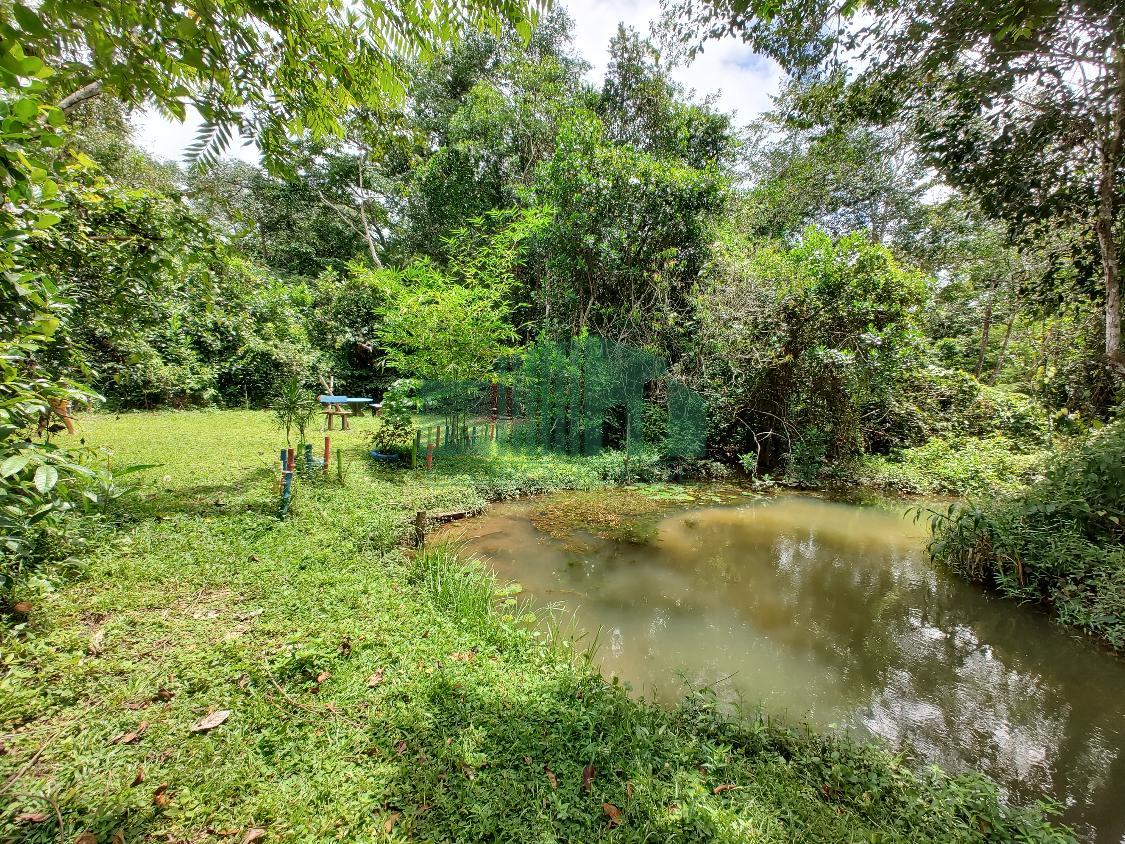 Fazenda à venda com 1 quarto, 4000m² - Foto 19