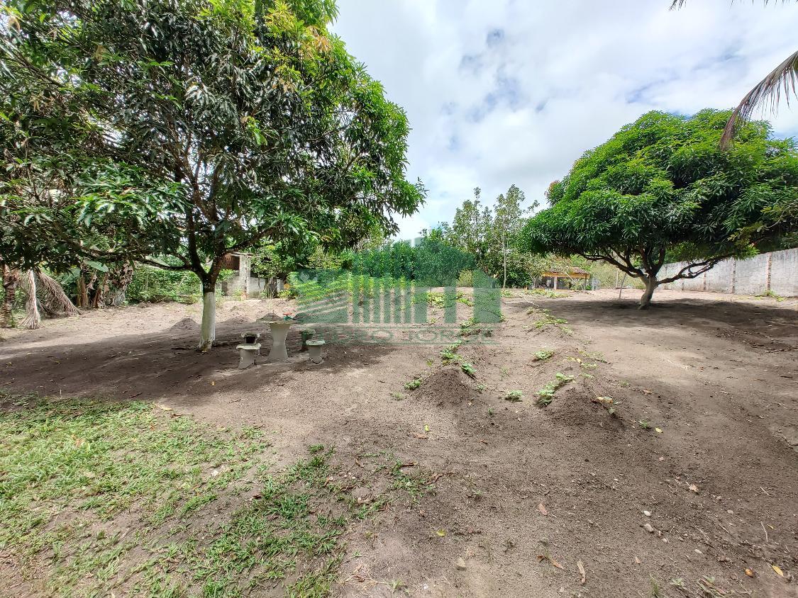 Fazenda à venda com 1 quarto, 4000m² - Foto 16